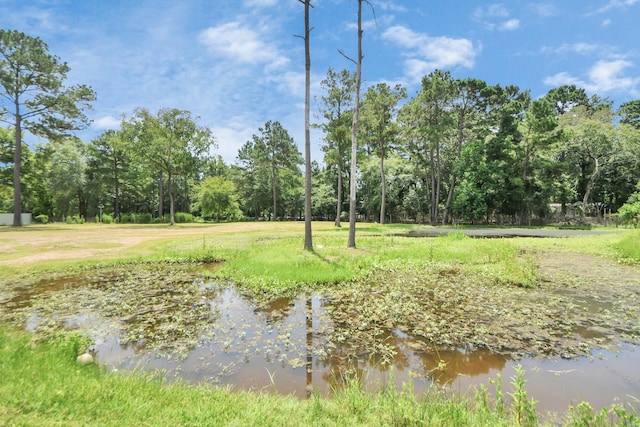 31317 Buckeye Rd, Waller, TX 77484 - photo 22