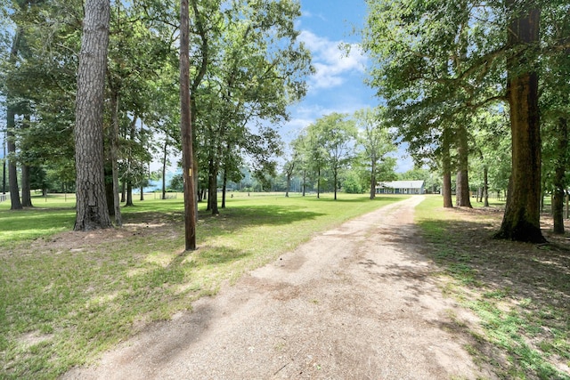 31317 Buckeye Rd, Waller, TX 77484 - photo 32