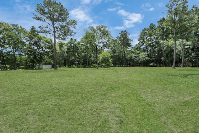 31317 Buckeye Rd, Waller, TX 77484 - photo 35