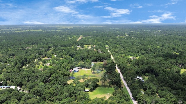 31317 Buckeye Rd, Waller, TX 77484 - photo 38