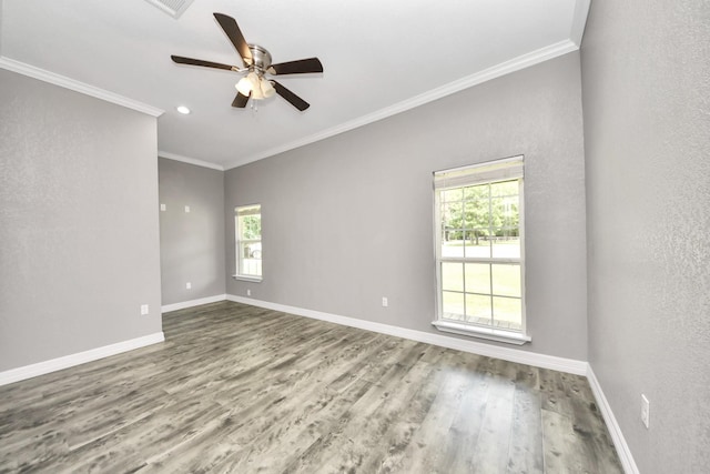 31317 Buckeye Rd, Waller, TX 77484 - photo 16