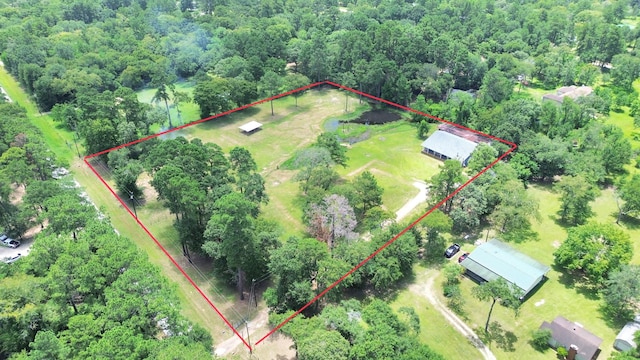 31317 Buckeye Rd, Waller, TX 77484 - photo 1