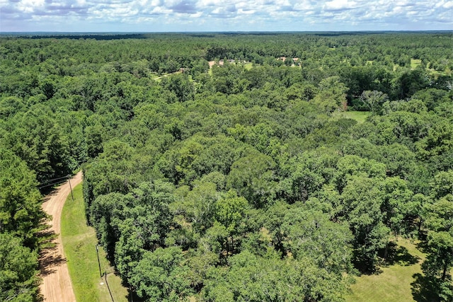 1.7ACRES Oak Creek Cir, New Waverly, TX 77358 - photo 10