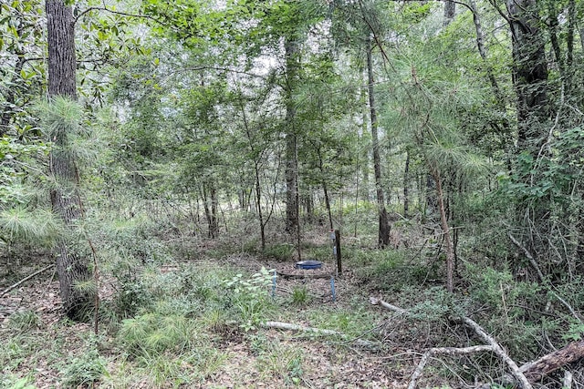 1.7ACRES Oak Creek Cir, New Waverly, TX 77358 - photo 7