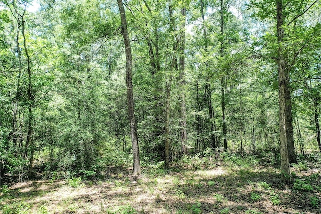 1.7ACRES Oak Creek Cir, New Waverly, TX 77358 - photo 9