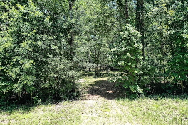 1.7ACRES Oak Creek Cir, New Waverly, TX 77358 - photo 3