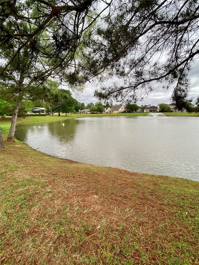 7039 Durango Creek Dr, Magnolia, TX 77354 - photo 25