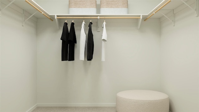 3009 Wild Dunes Dr, Katy, TX 77493 - spacious closet with carpet flooring