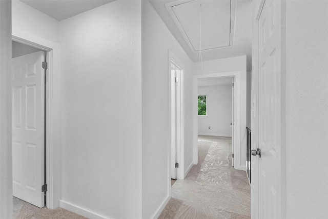 8124 Fondren Rd Unit 8124, Houston, TX 77074 - hallway with attic access