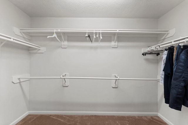 28210 Slatestone Ln, Spring, TX 77386 - spacious closet featuring carpet