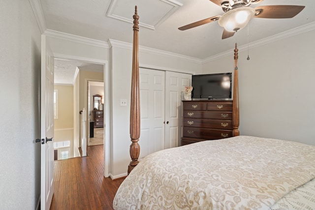 16447 Flint Run Way, Sugar Land, TX 77498 - bedroom with dark wood-style floors, ornamental molding, a closet, attic access, and ceiling fan