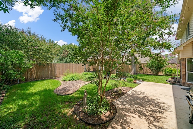 16447 Flint Run Way, Sugar Land, TX 77498 - fenced backyard with a patio area
