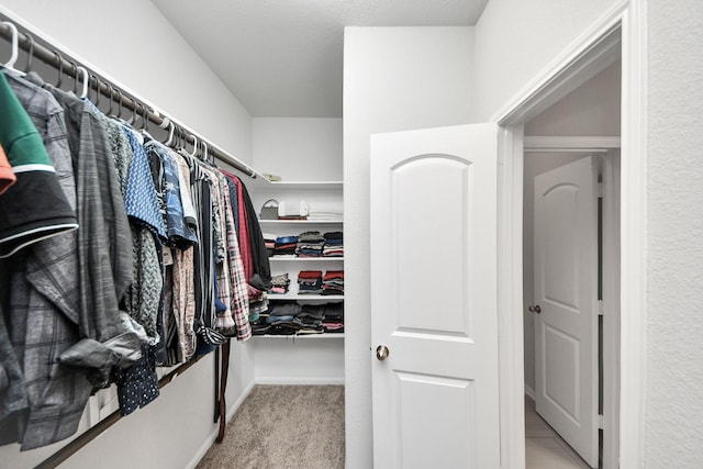 5206 Wyatt James Ln, Brookshire, TX 77423 - walk in closet with light carpet
