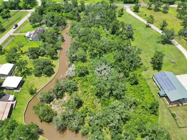 0 County Road 659, Brazoria, TX 77422 - photo 5