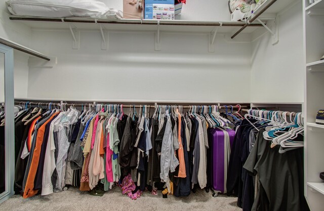 20207 Noble Arabian Dr, Tomball, TX 77377 - spacious closet featuring carpet floors