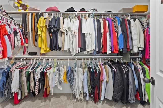 13206 Blass Ct, Houston, TX 77044 - spacious closet with carpet flooring