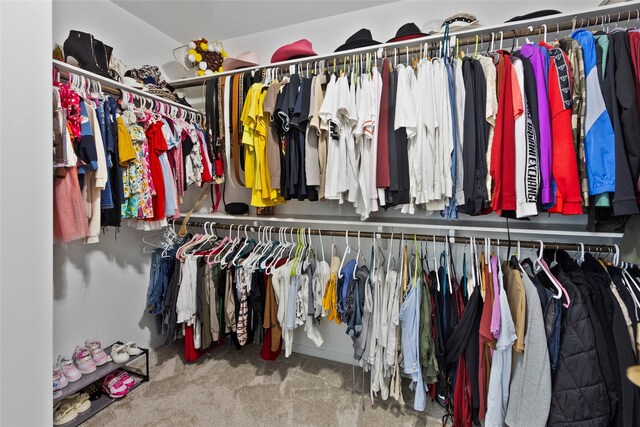 13206 Blass Ct, Houston, TX 77044 - spacious closet with carpet