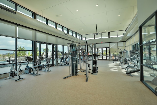 16726 Echo Heights Dr, Cypress, TX 77433 - exercise room featuring a high ceiling, carpet, and recessed lighting