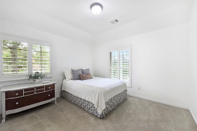 23706 Tristan Bay Ct, Spring, TX 77386 - carpeted bedroom with multiple windows