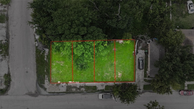 2624 Lorraine St, Houston, TX 77026