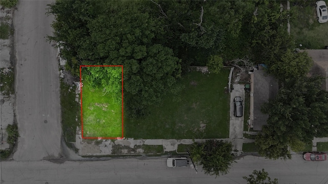 2624 Lorraine St, Houston, TX 77026