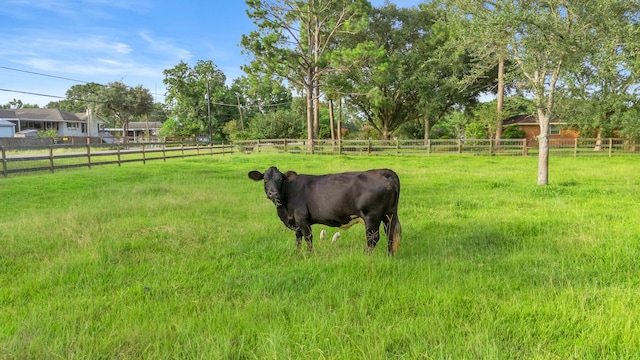 3211 County Road 237, Alvin, TX 77511 - view of yard featuring a view of rural / pastoral area