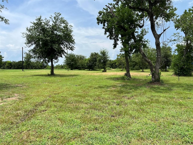 34052 Blinka Cir, Waller, TX 77484 - photo 7