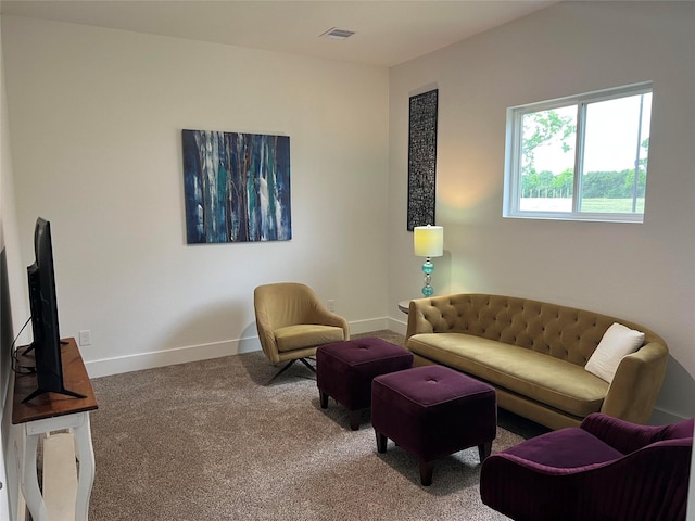 34052 Blinka Cir, Waller, TX 77484 - photo 17