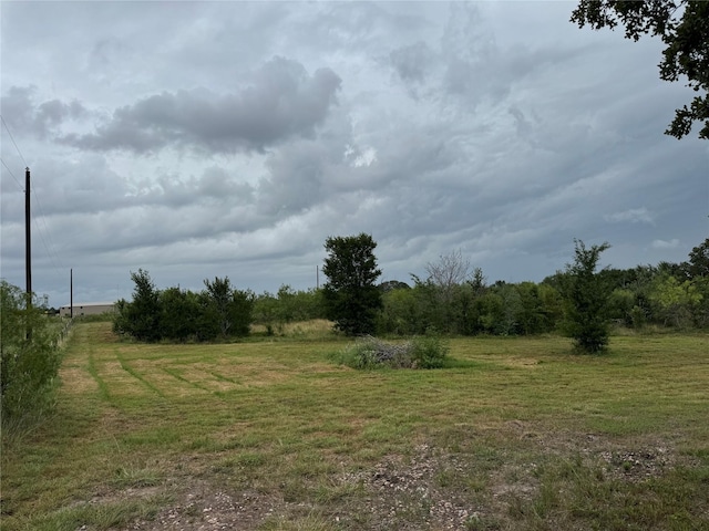 3637 Fm 60 W, Somerville, TX 77879 - photo 14