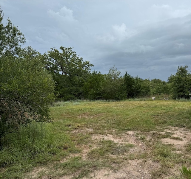 3637 Fm 60 W, Somerville, TX 77879 - photo 15