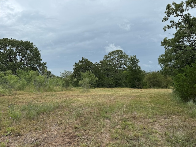 3637 Fm 60 W, Somerville, TX 77879 - photo 17