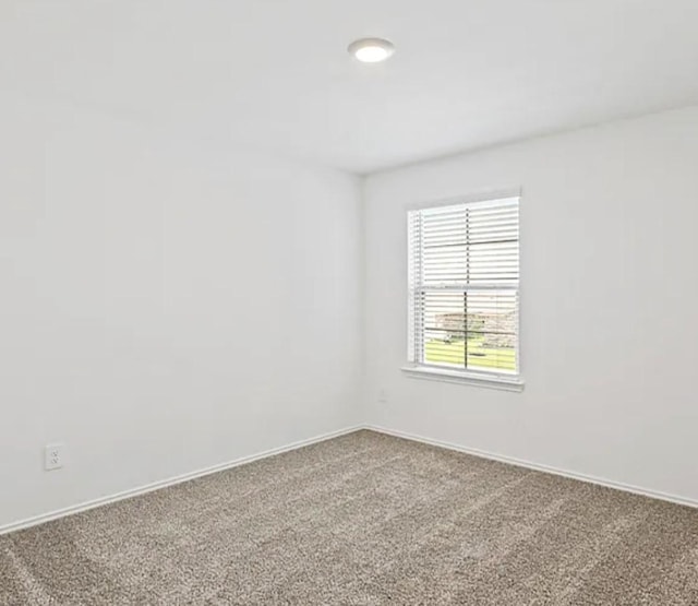 21403 Owl Rd, New Caney, TX 77357 - photo 40