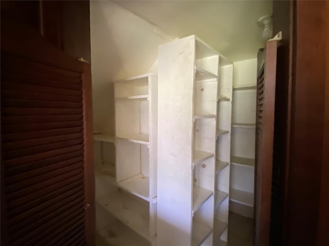 222 N 1st, Wallis, TX 77485 - view of spacious closet