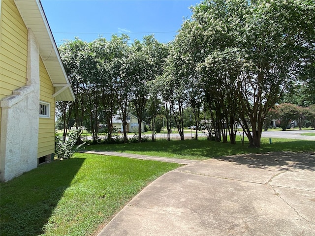 222 N 1st, Wallis, TX 77485 - view of green lawn