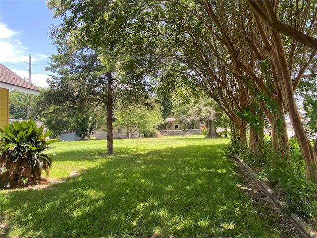 222 N 1st, Wallis, TX 77485 - view of grassy yard