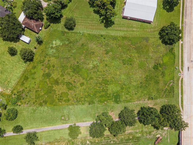 650 E Adoue St, Alvin, TX 77511