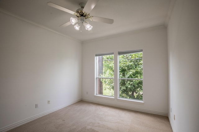 7146 Harmony Cv, Houston, TX 77036 - photo 19