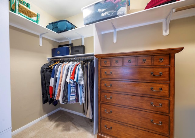 1906 Nogalus Dr, Houston, TX 77532 - spacious closet with light carpet