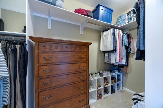 1906 Nogalus Dr, Houston, TX 77532 - walk in closet with carpet