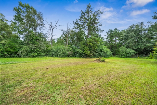 890 Taras Path, Livingston, TX 77351 - photo 30