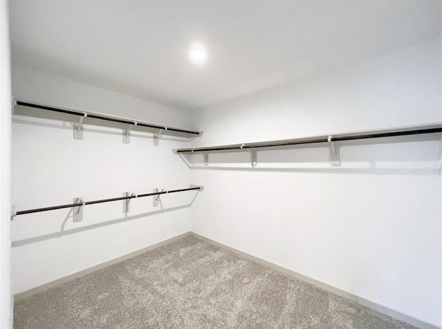 29526 Paytons Park Ln, Katy, TX 77494 - walk in closet featuring carpet flooring
