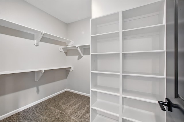 4719 Mallow St, Houston, TX 77033 - spacious closet featuring dark colored carpet