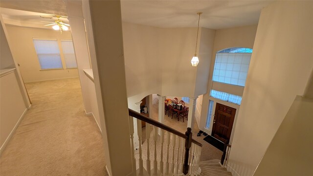 2638 Long Leaf Dr, Sugar Land, TX 77478 - photo 15