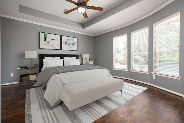 25303 Hall Meadow Ln, Katy, TX 77494 - bedroom with multiple windows, a tray ceiling, dark wood-type flooring, ceiling fan, and crown molding