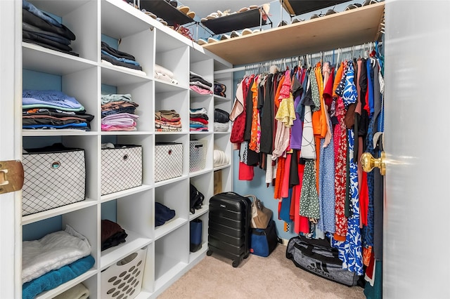 12550 Whittington Dr Unit 814, Houston, TX 77077 - spacious closet with carpet floors