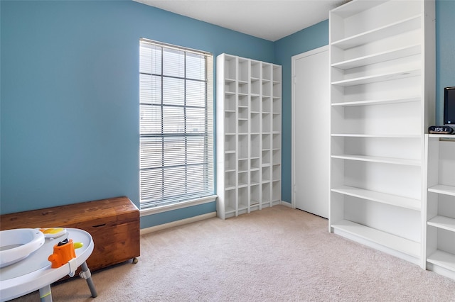 12550 Whittington Dr Unit 814, Houston, TX 77077 - living area featuring carpet floors and baseboards