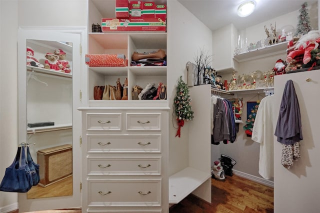 69 W Shore Ln, Montgomery, TX 77356 - walk in closet with wood finished floors