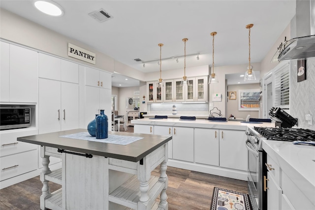 5411 Holly View Dr, Houston, TX 77091 - kitchen with appliances with stainless steel finishes, exhaust hood, dark wood-style floors, glass insert cabinets, and white cabinetry