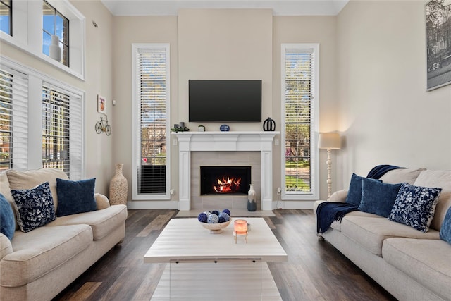 5411 Holly View Dr, Houston, TX 77091 - living room featuring dark wood finished floors and a tile fireplace