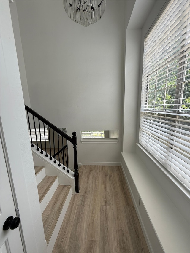159 Anise Tree Pl, The Woodlands, TX 77382 - photo 9